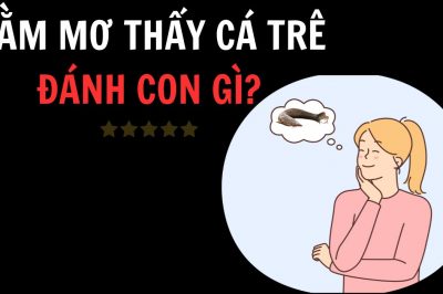 Nằm mơ thấy cá trê đánh con gì? – Cá trê đánh số mấy?