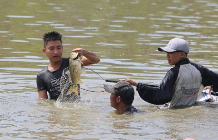 Chiêm bao mơ thấy bắt cá là điềm báo may mắn hay xui xẻo?