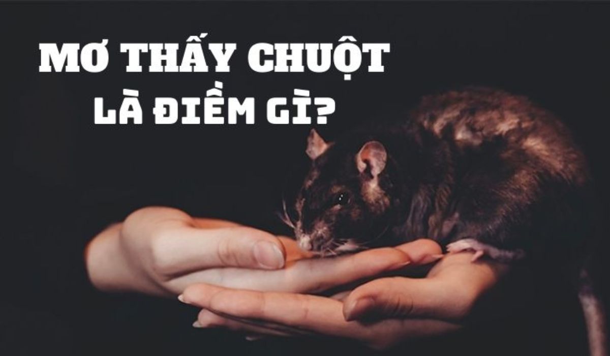 Nằm mơ thấy chuột báo hiệu điều gì?