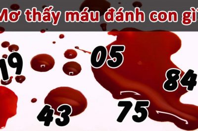 Ý nghĩa giấc mơ thấy máu – Nằm mơ thấy máu đánh số mấy?