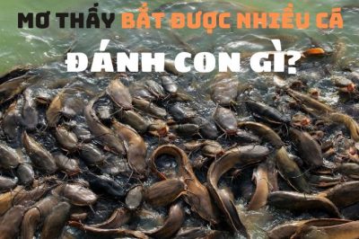 Mơ thấy bắt được nhiều cá đánh con gì? Hên hay xui