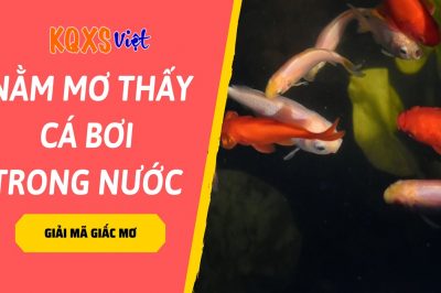 Nằm mơ thấy cá bơi trong nước đánh con gì dễ trúng nhất?