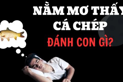 Nằm mơ thấy cá chép đánh số mấy? Mơ thấy cá chép điềm gì?