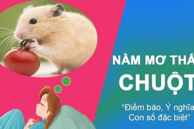 Mơ thấy chuột đánh số mấy? Ngủ thấy chuột hên hay xui