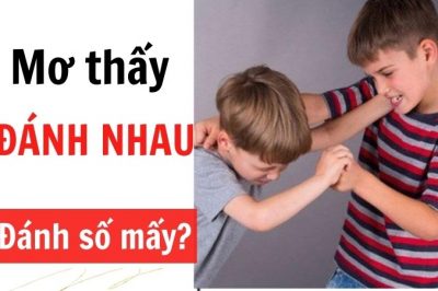 Chiêm bao thấy người khác đánh nhau đánh số mấy?