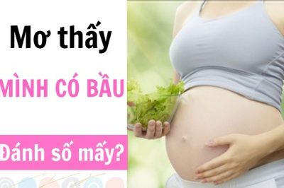 Nằm mơ thấy mình có bầu là điềm gì? Mơ thấy có bầu đánh con gì?