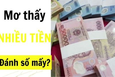 Nằm mơ thấy nhiều tiền đánh con gì? Ý nghĩa giấc mơ thấy tiền nhiều