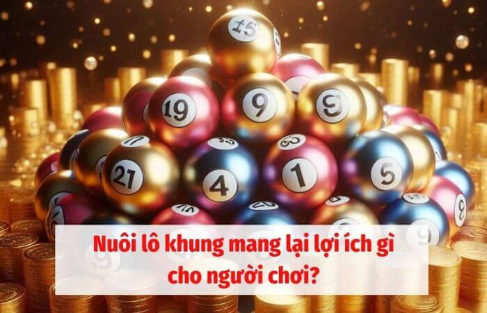 Nuôi lô khung có khả năng thắng vượt trội hơn